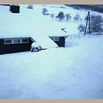 Ferienhaus Cosy In The Hochsauerland With Terrace At The Edge Of The Forest *