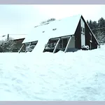 Ferienhaus Cosy In The Hochsauerland With Terrace At The Edge Of The Forest *