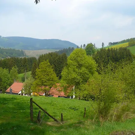 Holiday home Cosy In The Hochsauerland With Terrace At The Edge Of The Forest Schmallenberg