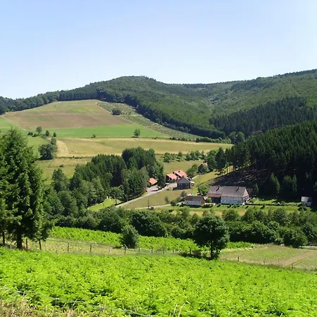 Cosy In The Hochsauerland With Terrace At The Edge Of The Forest Holiday home
