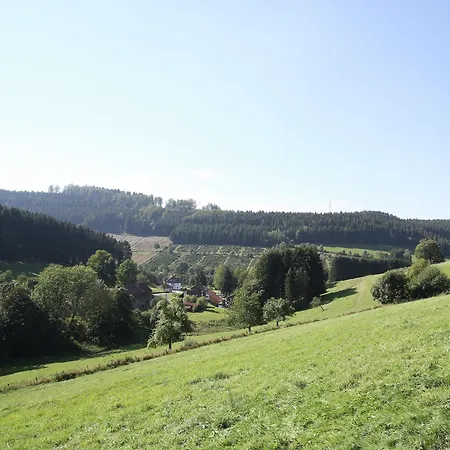 Cosy In The Hochsauerland With Terrace At The Edge Of The Forest Holiday home *