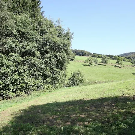 Cosy In The Hochsauerland With Terrace At The Edge Of The Forest 펜션 *