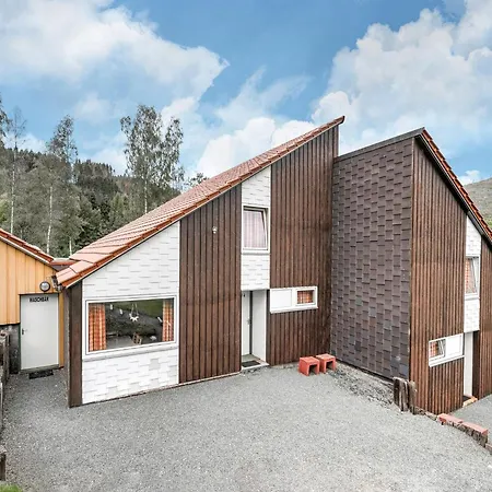 Ferienhaus Cosy In The Hochsauerland With Terrace At The Edge Of The Forest
