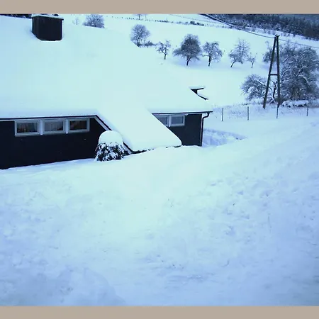 Holiday home Cosy In The Hochsauerland With Terrace At The Edge Of The Forest *