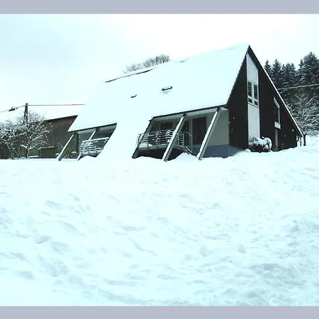 Holiday home Cosy In The Hochsauerland With Terrace At The Edge Of The Forest *