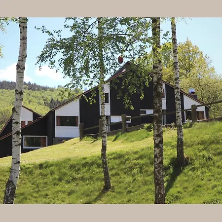 Holiday home Cosy In The Hochsauerland With Terrace At The Edge Of The Forest Schmallenberg