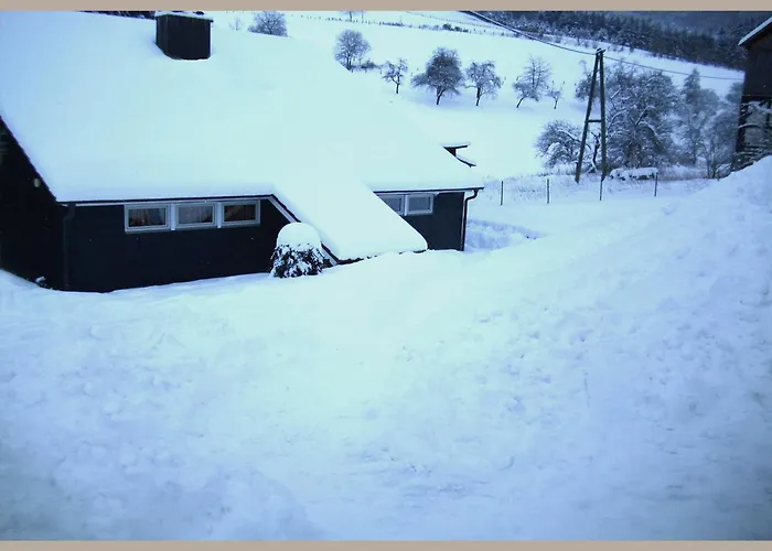 Cosy In The Hochsauerland With Terrace At The Edge Of The Forest *