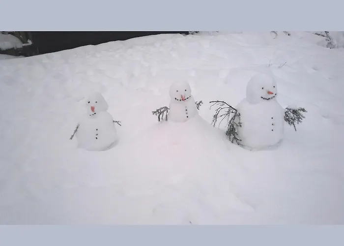 Cosy In The Hochsauerland With Terrace At The Edge Of The Forest Schmallenberg